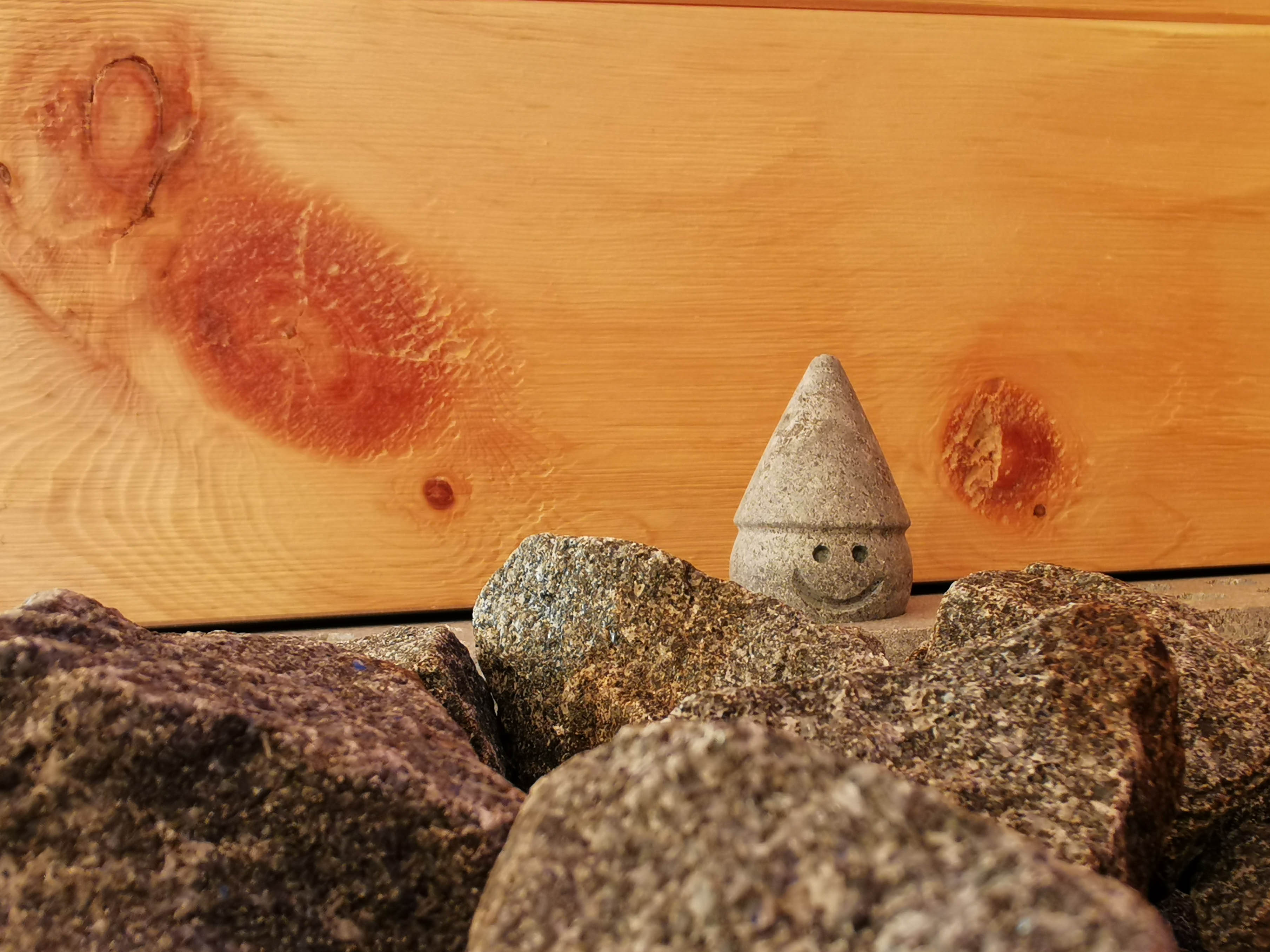 Saunabau Schweiz aus Arve